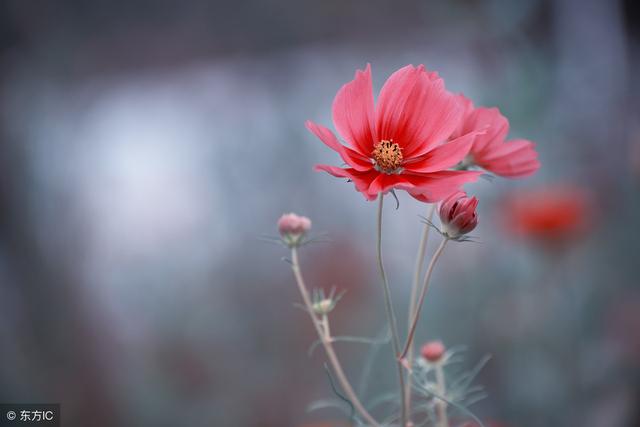 有棱角的善良，才是真善良