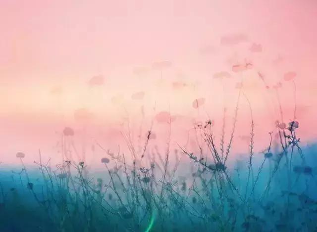 有棱角的善良，才是真善良