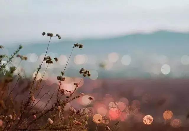 有棱角的善良，才是真善良