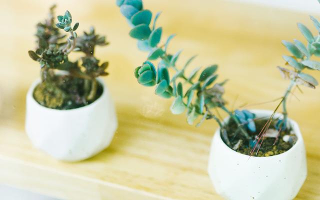 人與人之間,別丟了分寸