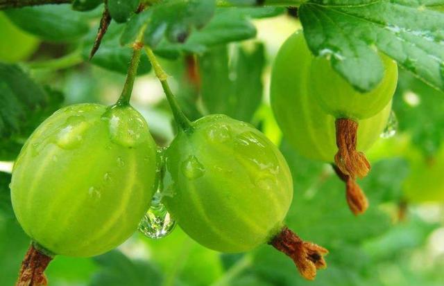 2018年,我把自己活成了一個很“獨”的人