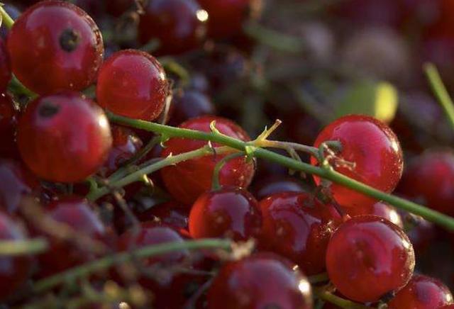 2018年，我把自己活成了一個很“獨”的人