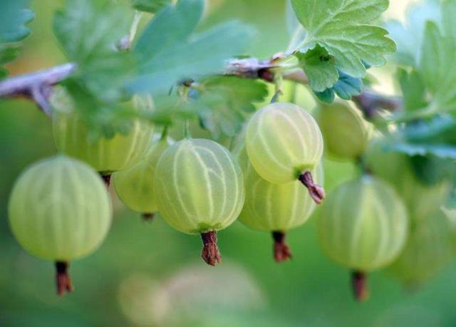 2018年,我把自己活成了一個很“獨”的人