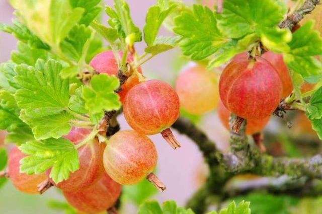 2018年，我把自己活成了一個很“獨”的人