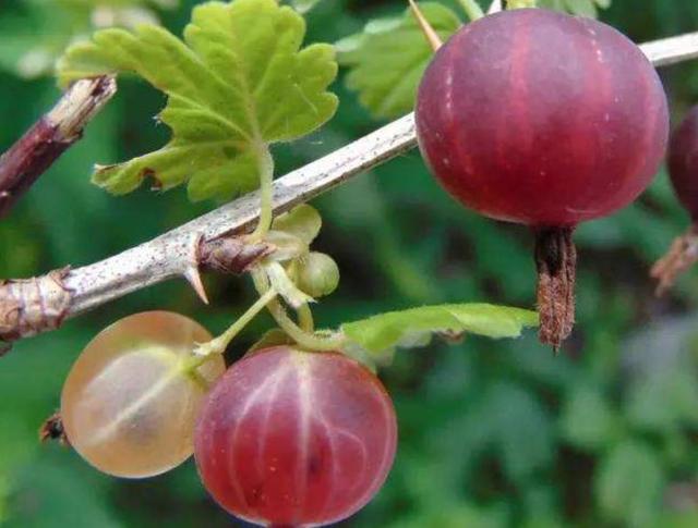 2018年，我把自己活成了一個很“獨”的人