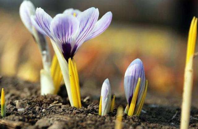 真正內心強大的人，無非是做到了這三個字