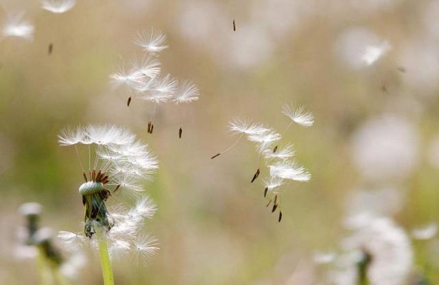 和這4種人交往，走著走著，是注定要散了