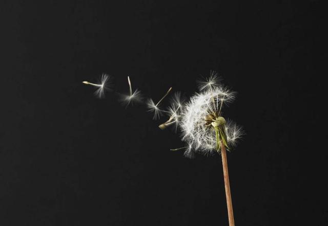 和這4種人交往，走著走著，是注定要散了