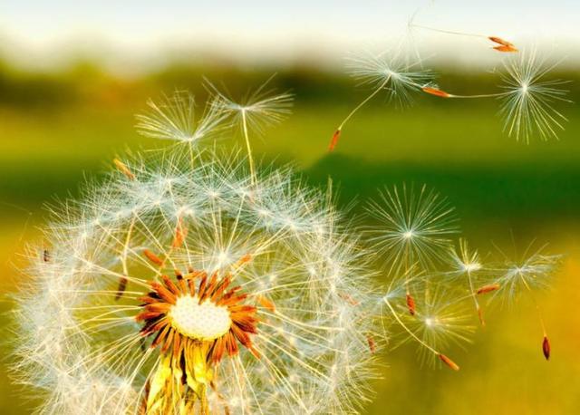 和這4種人交往，走著走著，是注定要散了