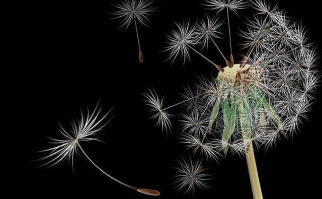 和這4種人交往，走著走著，是注定要散了