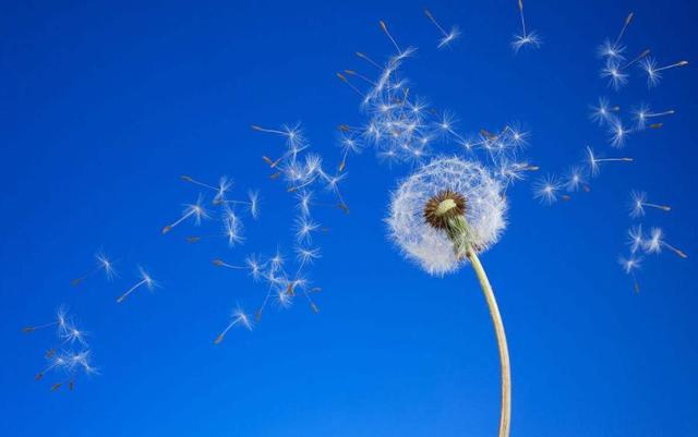 和這4種人交往，走著走著，是注定要散了