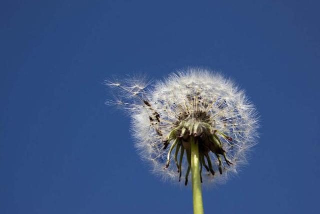 和這4種人交往，走著走著，是注定要散了