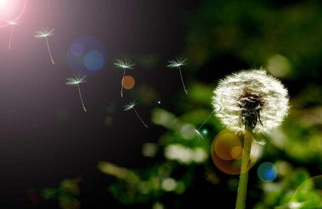 和這4種人交往，走著走著，是注定要散了