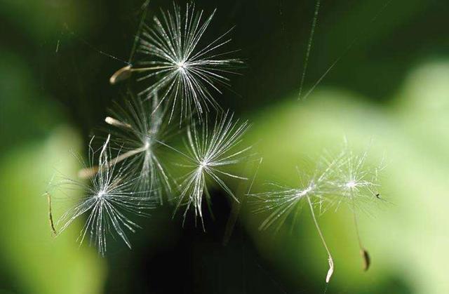 和這4種人交往，走著走著，是注定要散了