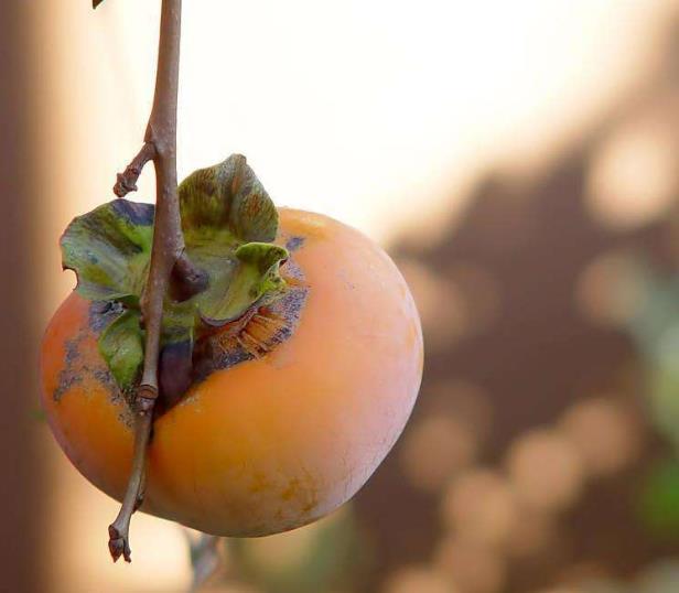 這幾種人，一轉身，就是一輩子，請一定珍惜