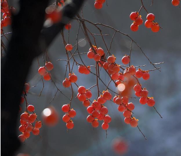 這幾種人，一轉身，就是一輩子，請一定珍惜