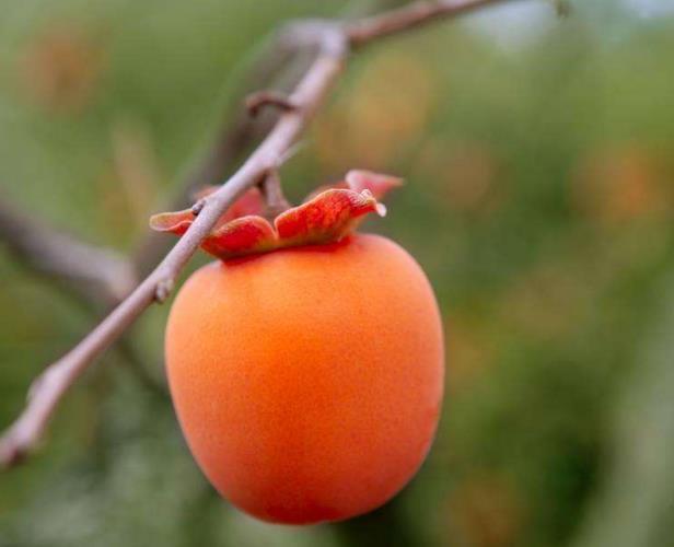 這幾種人，一轉身，就是一輩子，請一定珍惜