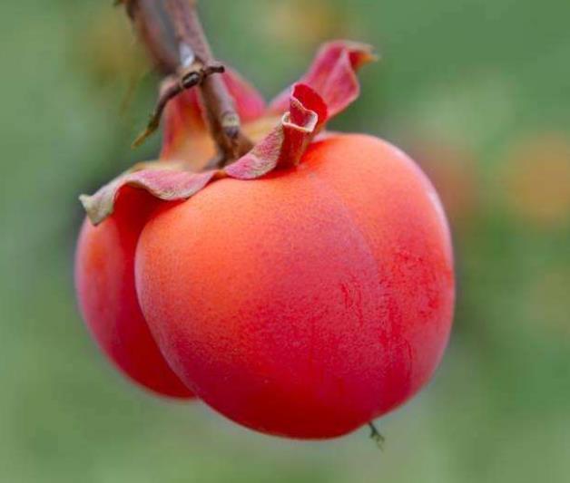 這幾種人，一轉身，就是一輩子，請一定珍惜