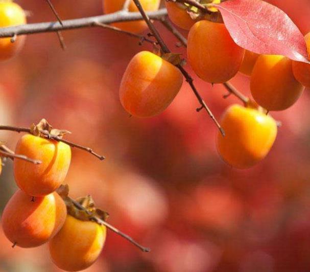 這幾種人，一轉身，就是一輩子，請一定珍惜