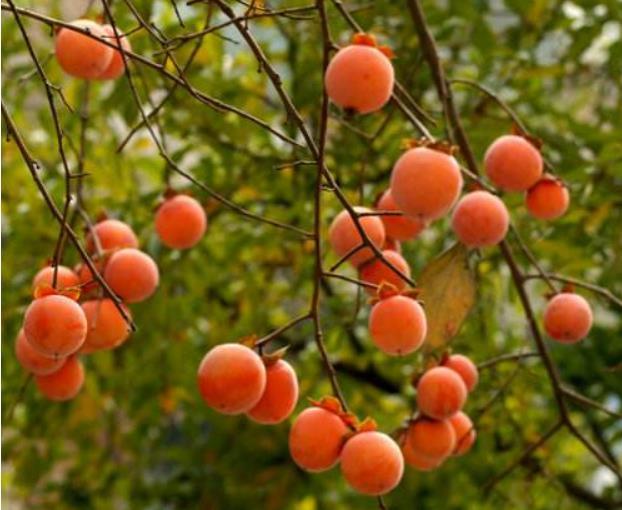 這幾種人，一轉身，就是一輩子，請一定珍惜