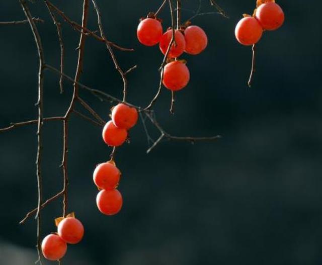 這幾種人，一轉身，就是一輩子，請一定珍惜