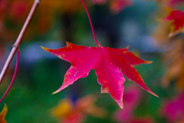 做人，不懂得這三句話，餘生會多吃很多苦