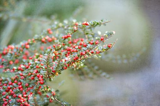 做人，不論多艱難，都不要深陷這三種“絕望”中