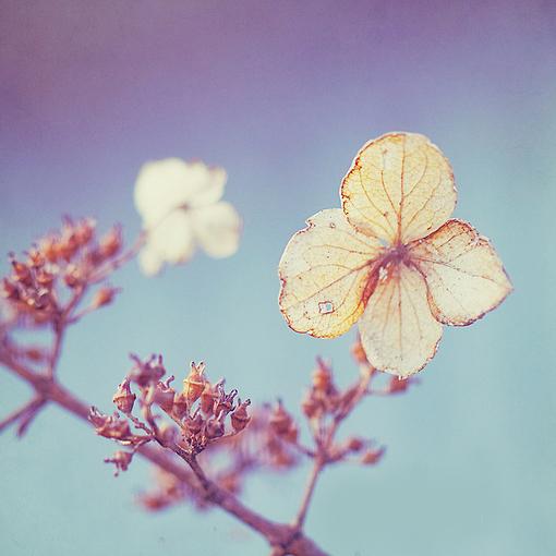 做人，不論多艱難，都不要深陷這三種“絕望”中