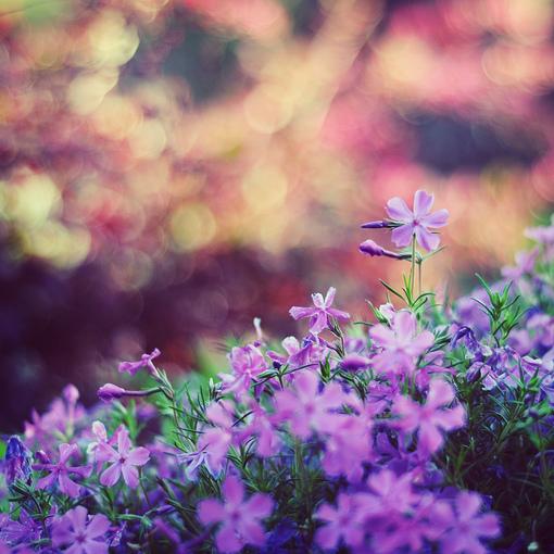 做人，不論多艱難，都不要深陷這三種“絕望”中