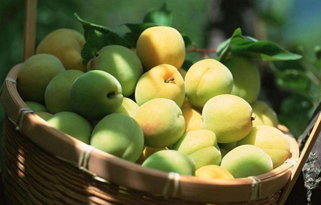 有這幾種特徵的人，說明人生開始走下坡路了，及時醒悟猶未晚