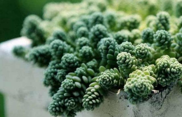 做人要懂得：這幾樣東西不能隨便藉出去，一借，煩惱就來了