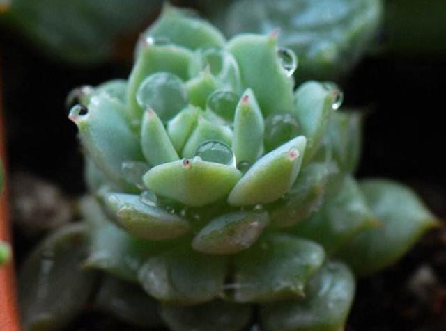 做人要懂得：這幾樣東西不能隨便藉出去，一借，煩惱就來了