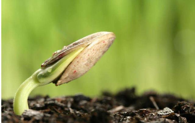 真正內心強大的人，無非是做到了這三個字