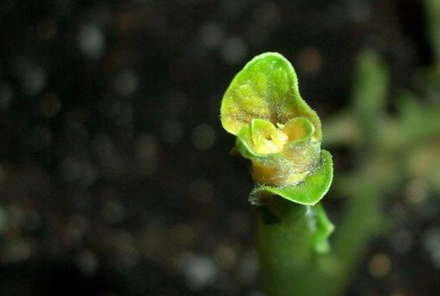 真正內心強大的人，無非是做到了這三個字