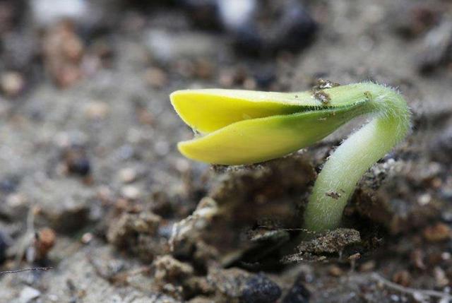 真正內心強大的人，無非是做到了這三個字