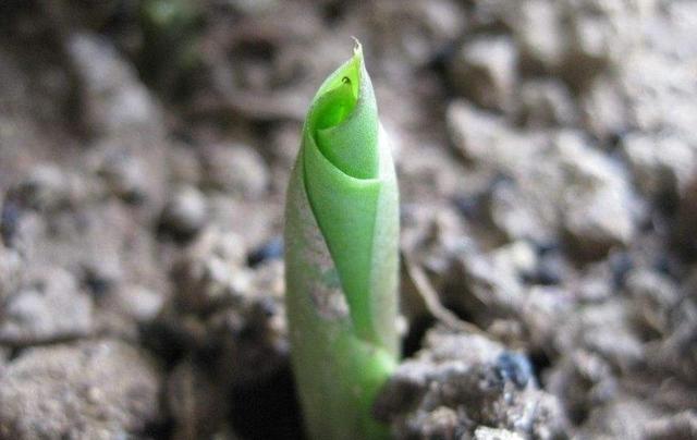 真正內心強大的人，無非是做到了這三個字