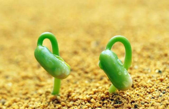 真正內心強大的人，無非是做到了這三個字