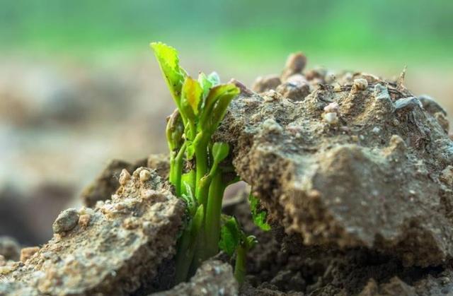 真正內心強大的人，無非是做到了這三個字