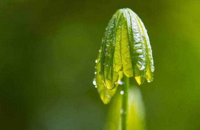 真正內心強大的人，無非是做到了這三個字