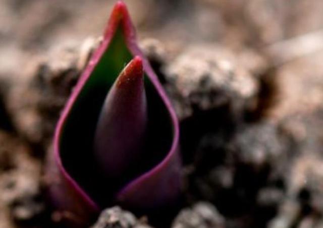 真正內心強大的人，無非是做到了這三個字