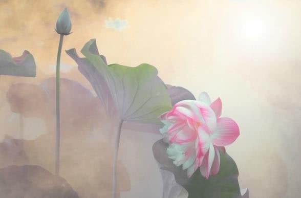 人到中年一事無成，謹記三個天機，福氣不請自來！