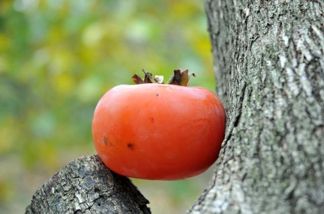 做人要懂得：過於在乎別人感受，必然會吃到這些啞巴虧