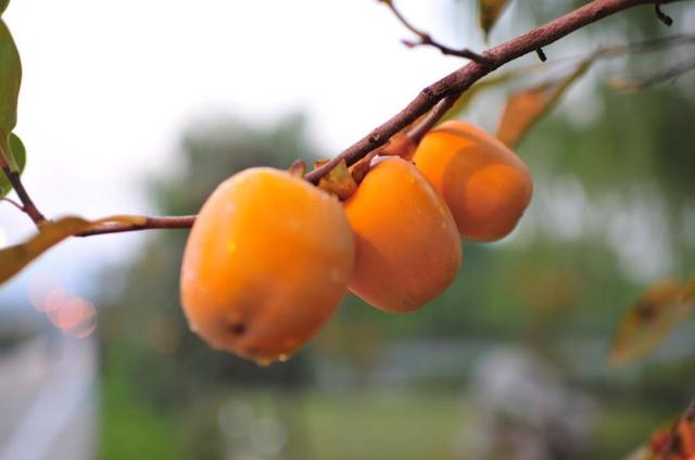 做人要懂得：過於在乎別人感受，必然會吃到這些啞巴虧