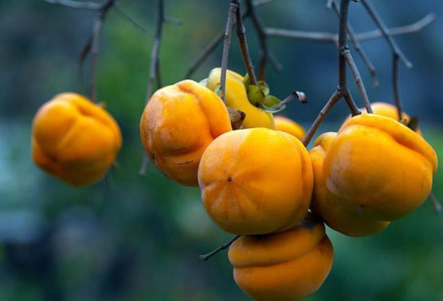 做人要懂得：過於在乎別人感受，必然會吃到這些啞巴虧