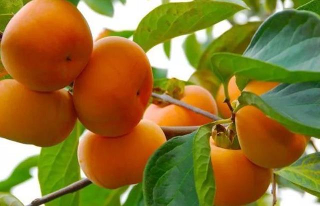 做人要懂得：過於在乎別人感受，必然會吃到這些啞巴虧