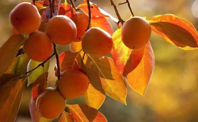 做人要懂得：過於在乎別人感受，必然會吃到這些啞巴虧