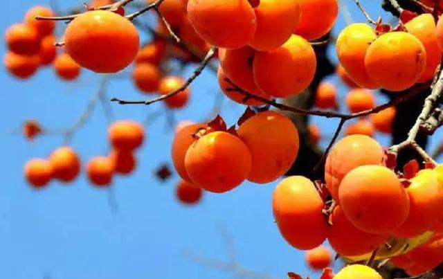 做人要懂得：過於在乎別人感受，必然會吃到這些啞巴虧