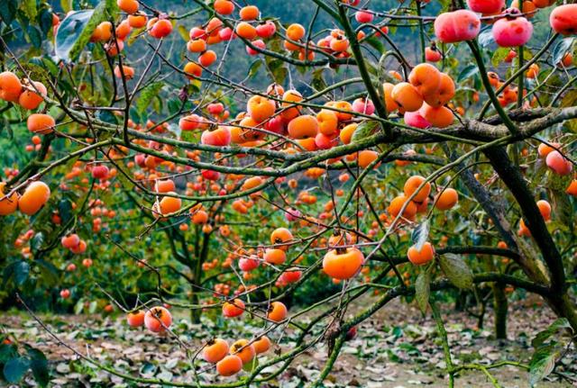 做人要懂得：過於在乎別人感受，必然會吃到這些啞巴虧