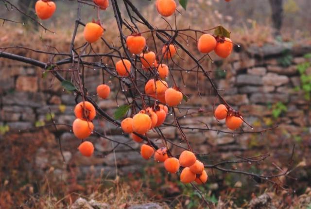 做人要懂得：過於在乎別人感受，必然會吃到這些啞巴虧