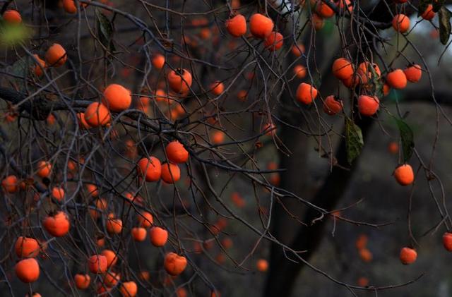 做人要懂得：過於在乎別人感受，必然會吃到這些啞巴虧